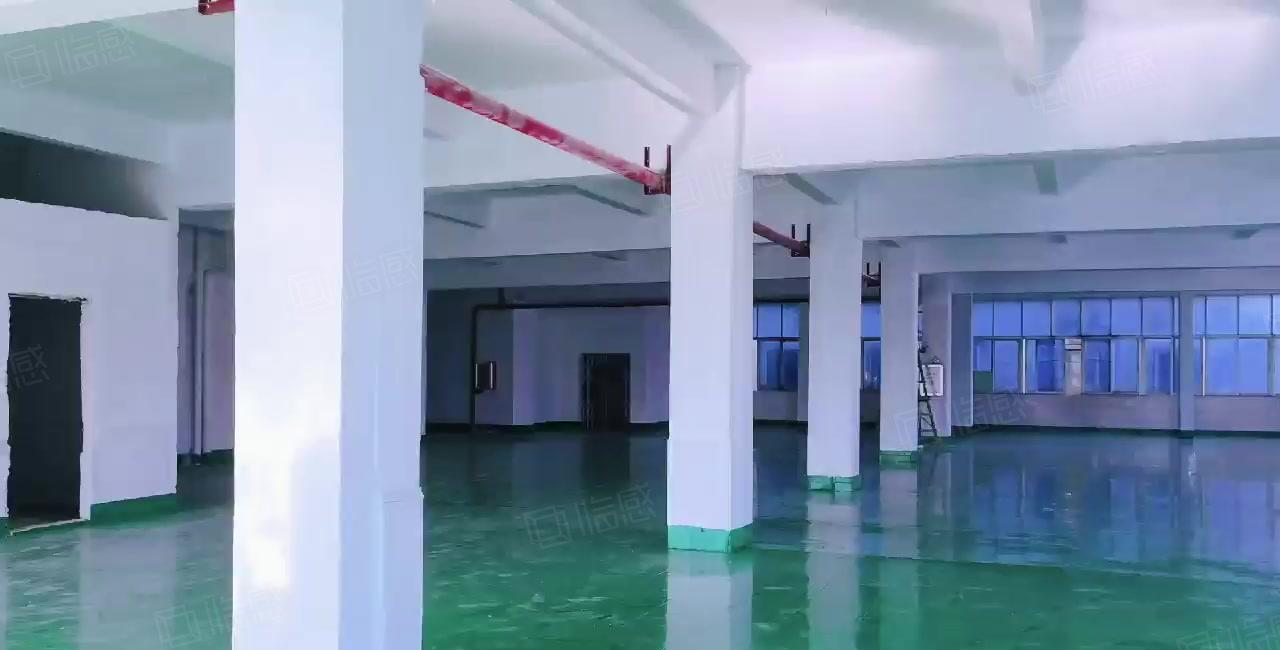 3层4000平独院厂房形象好莞太路边 交通方便 工业用地