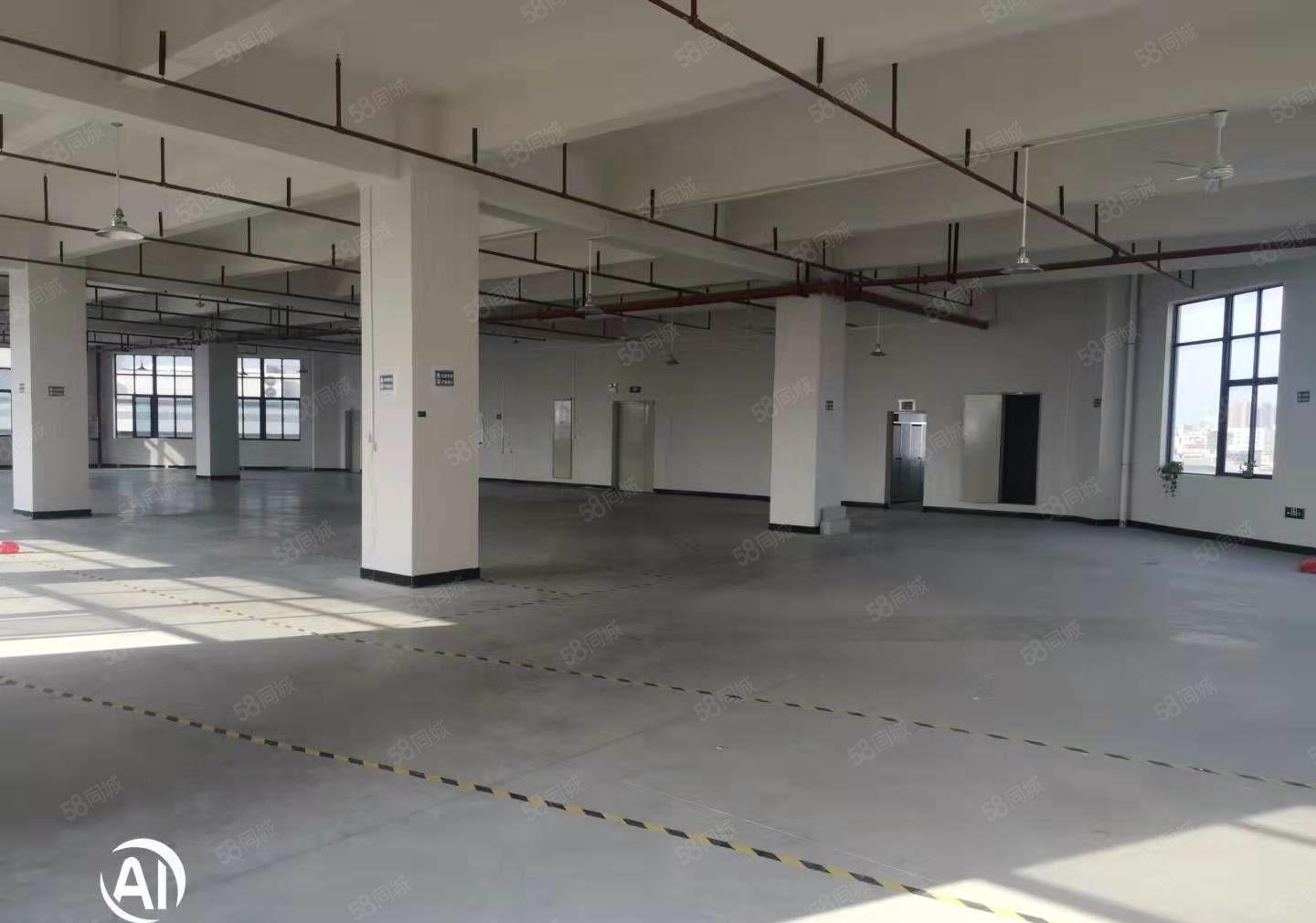 独门独院厂房三层6500平米出租，正规工业厂房，可办环评！