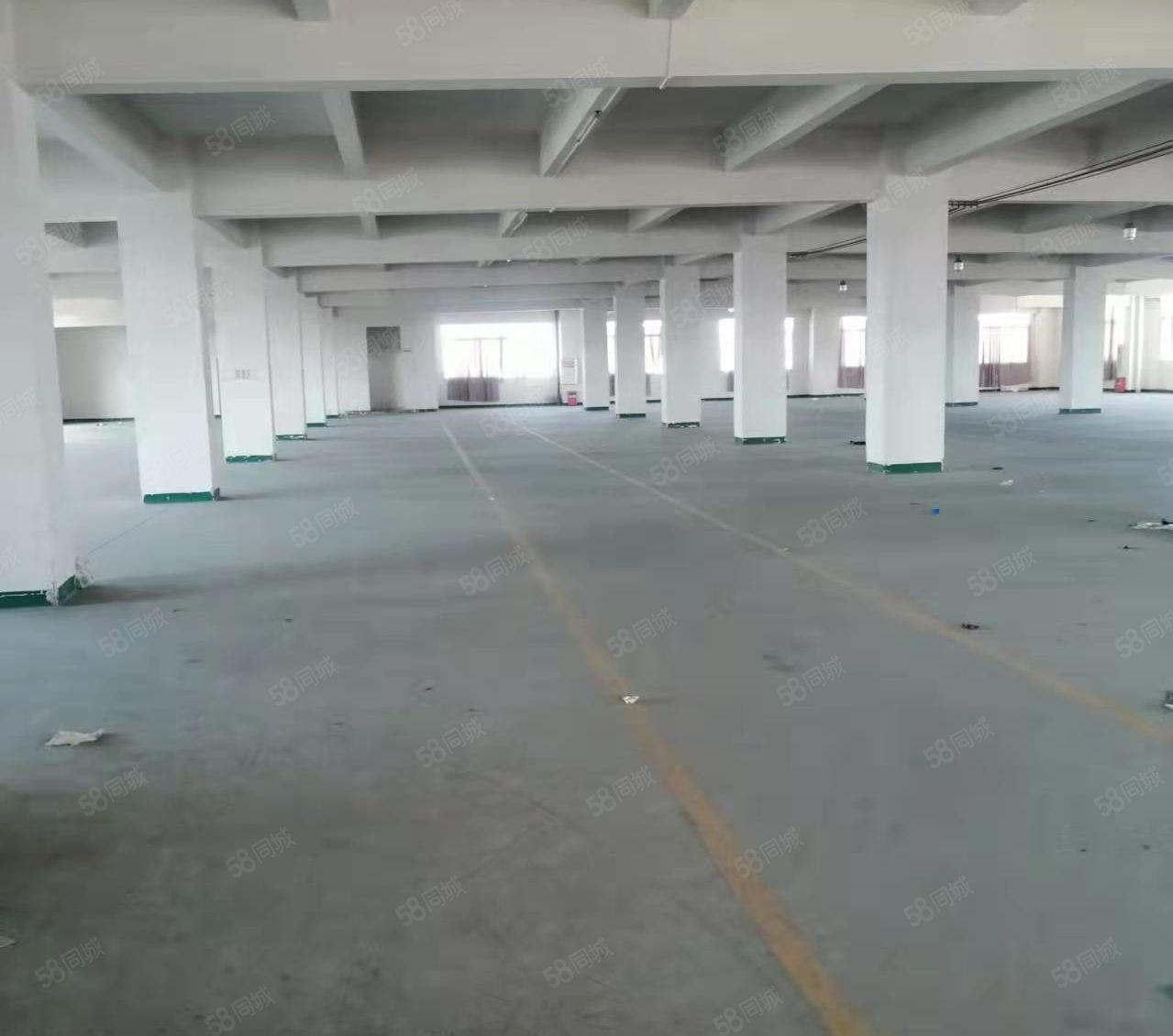 厚街独院厂房仓库出租4200平方大小可分租靠近大马路边带装修