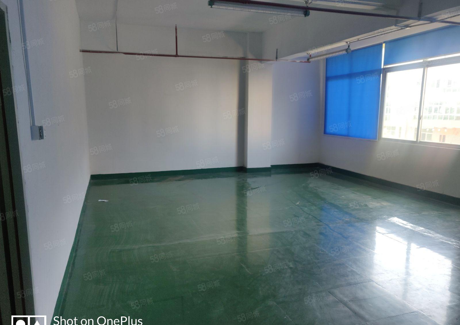 沙塘新空出1600平厂房园区空地大停车位充足能进大车