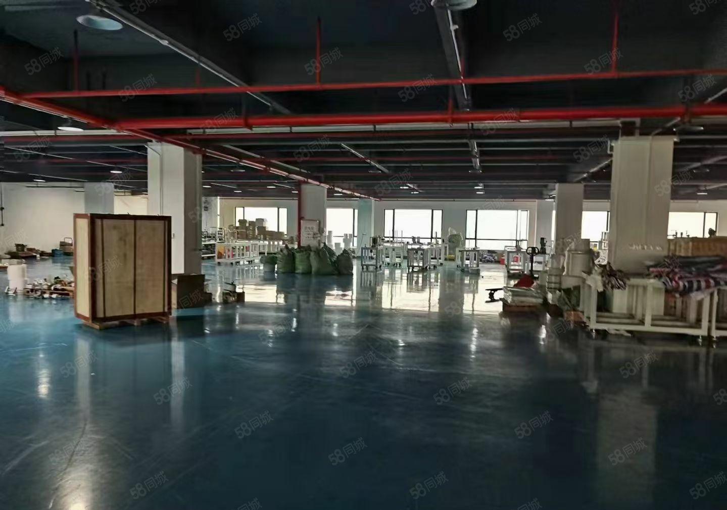 厚街镇标准厂房（独门独院）