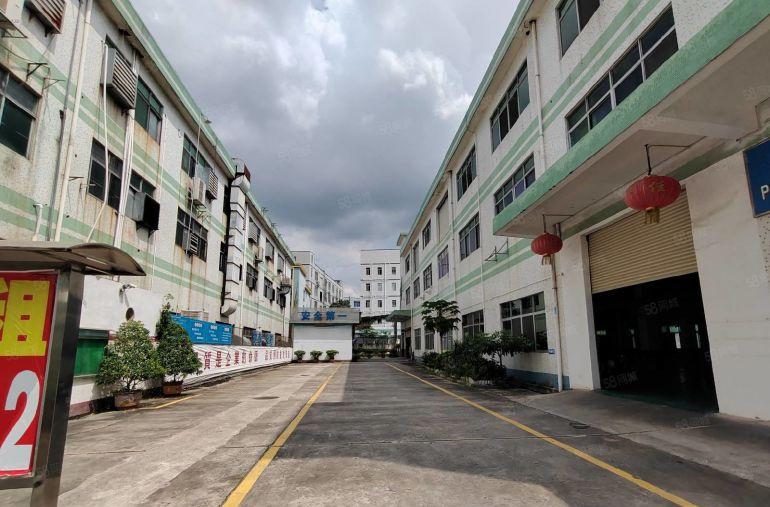 独门独院9块仓库出租厚街厂房出租5千平原房东厂房出租独院