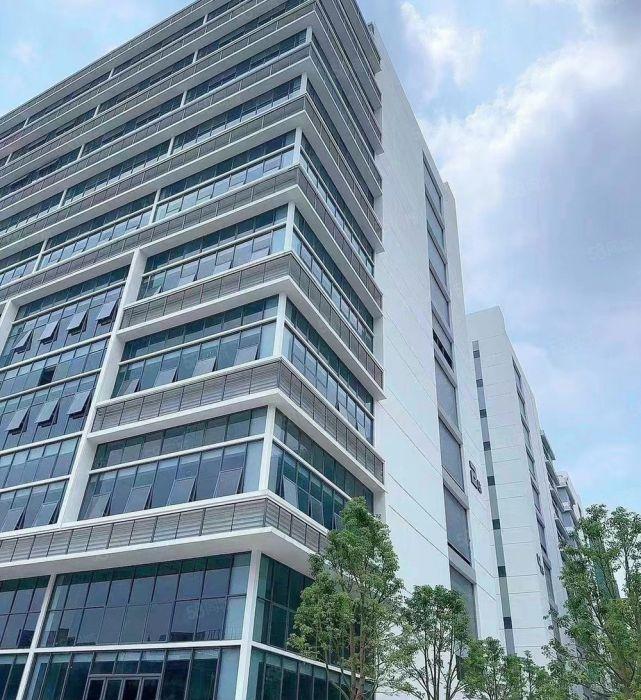 出租|开发商直租无公摊带装修滨海湾全新现楼红本厂房任意可分割