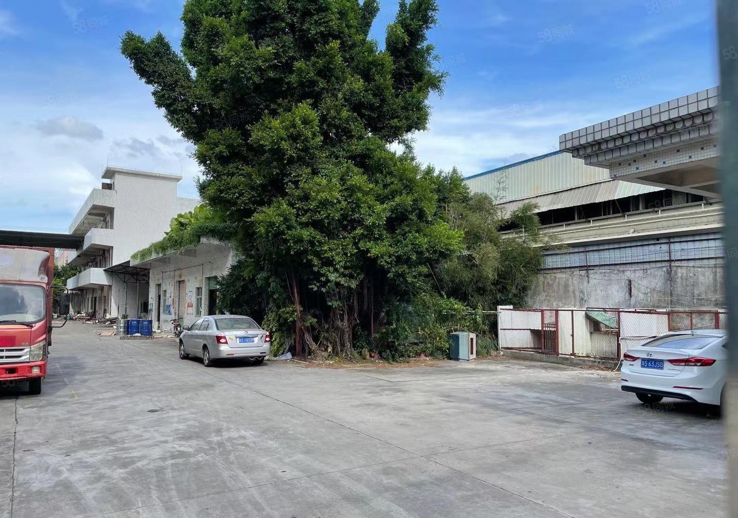 低价秒杀！独院厂房7000方，宿舍1000方