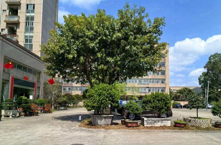 （厚街双岗带油坊家具厂房）原房东厂房出租水电费自己交