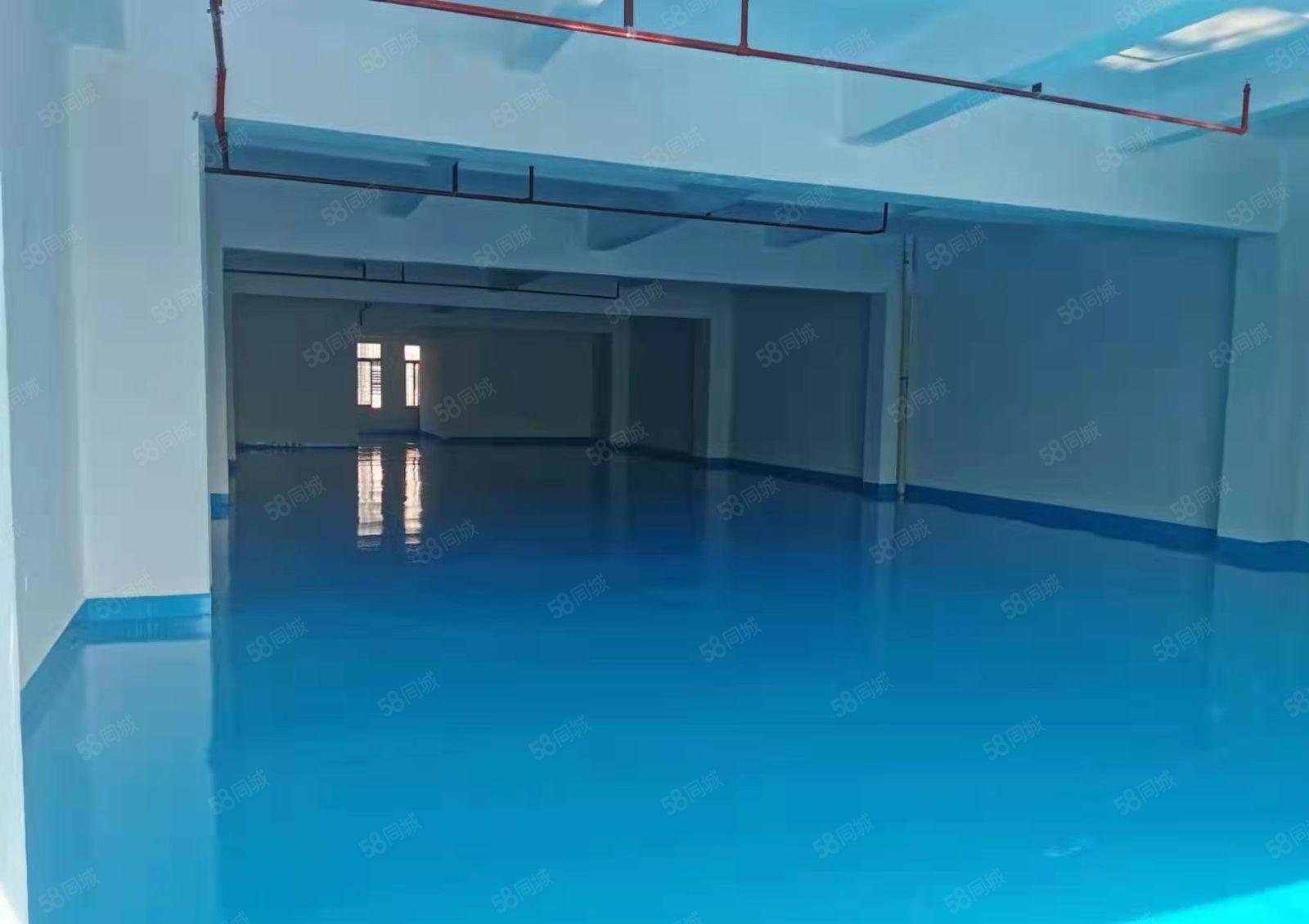 厚街桥头全新内墙地坪漆500平