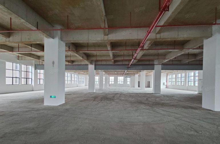 厚街全新标准独院厂房 大小分租 带卸货平台 适合各行业