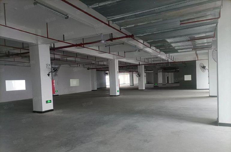 厚街下汴空出五楼2500平现成精装修水电齐全厂房出租仓库出租