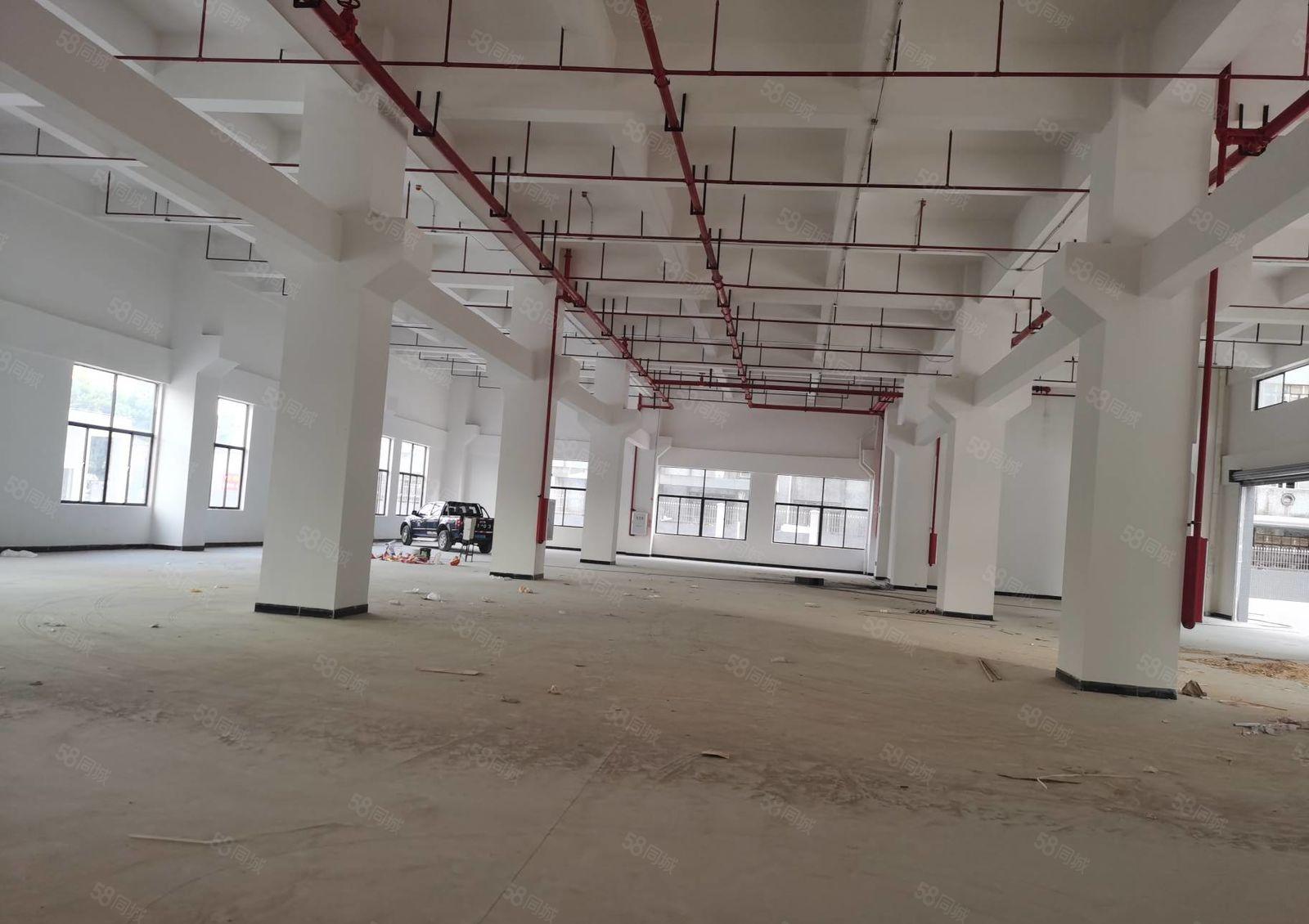 厚街全新独院工业厂房招租，证件齐全可办环评，超大空地