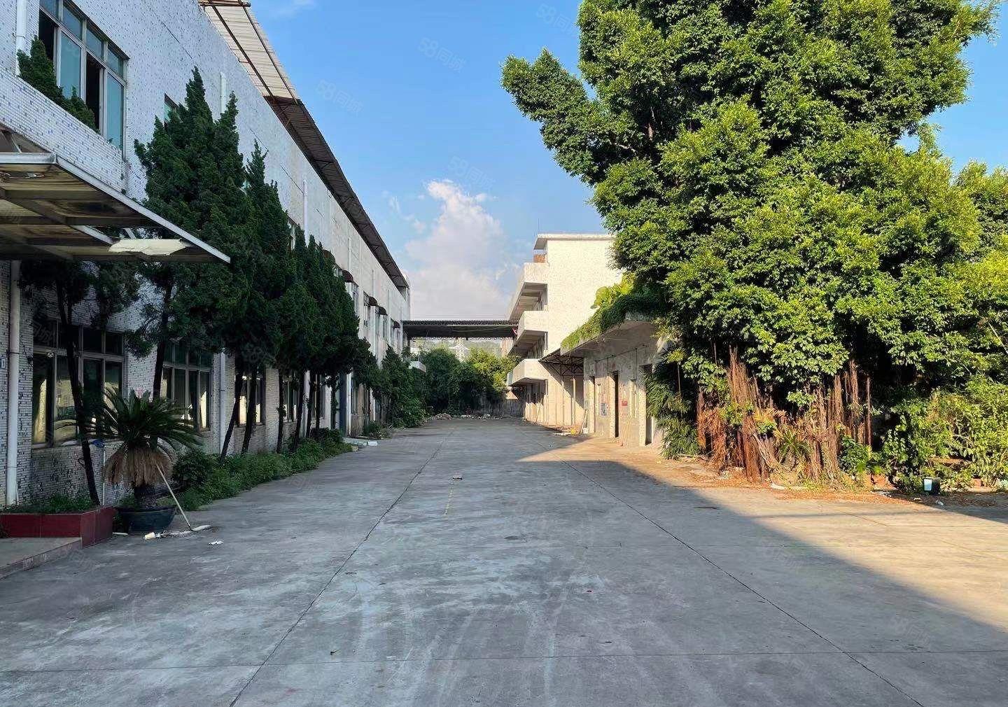 低价秒杀！独院厂房7000方，宿舍1000方