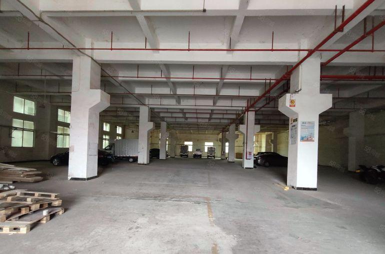 厚街标准一楼厂房 带牛角 层高6.5米 适合设备 五金 家具