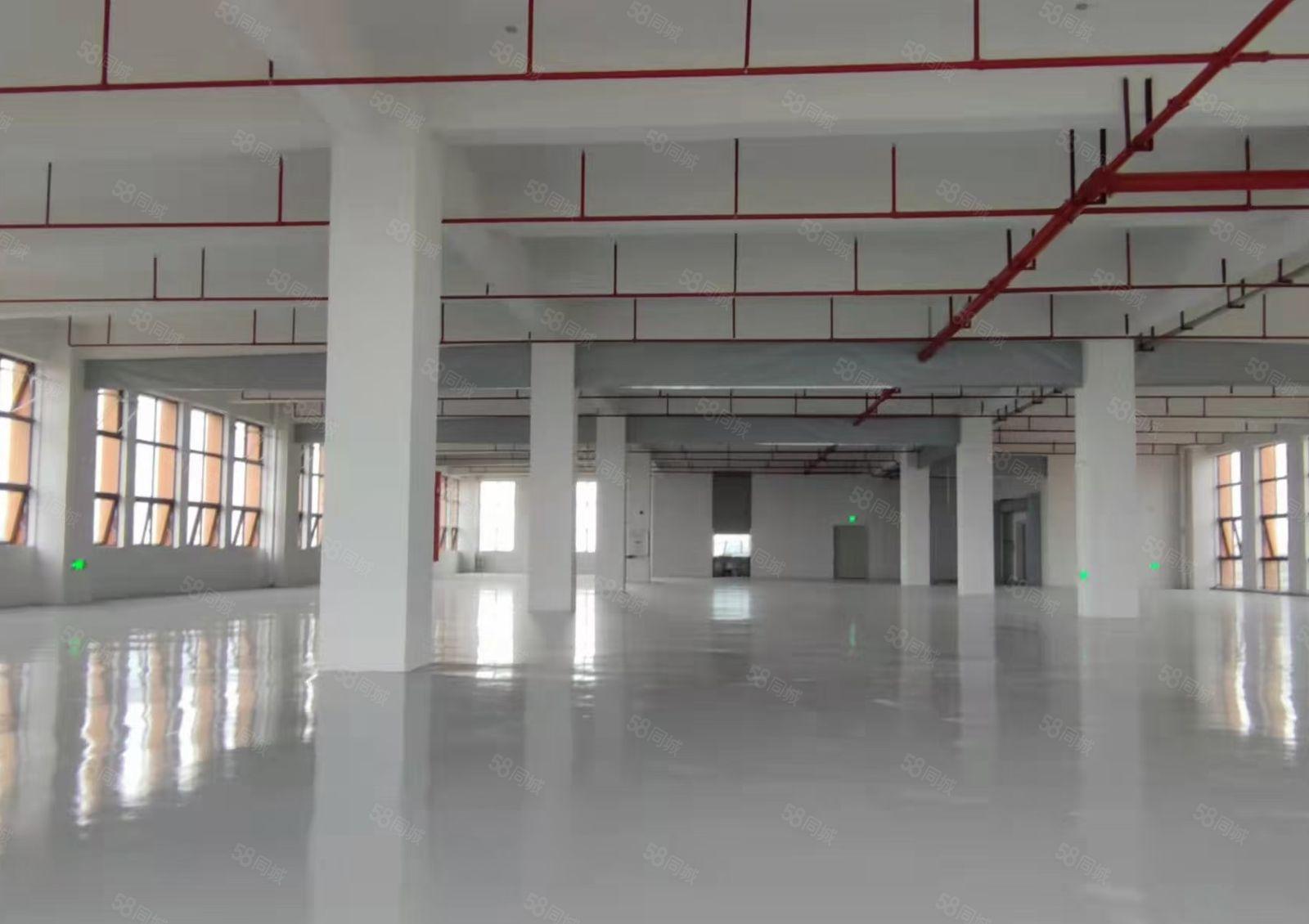 厚街漂亮整洁工业园，现成装修1730平厂房出租，拎包生产！