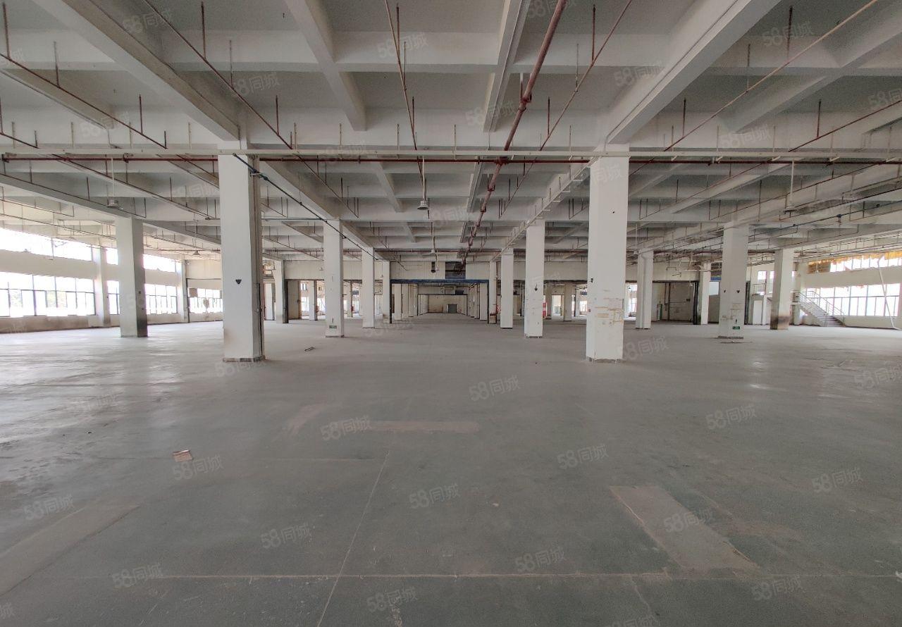 厚街宝屯新出32000平米原房东独院厂房出租适合任何行业。