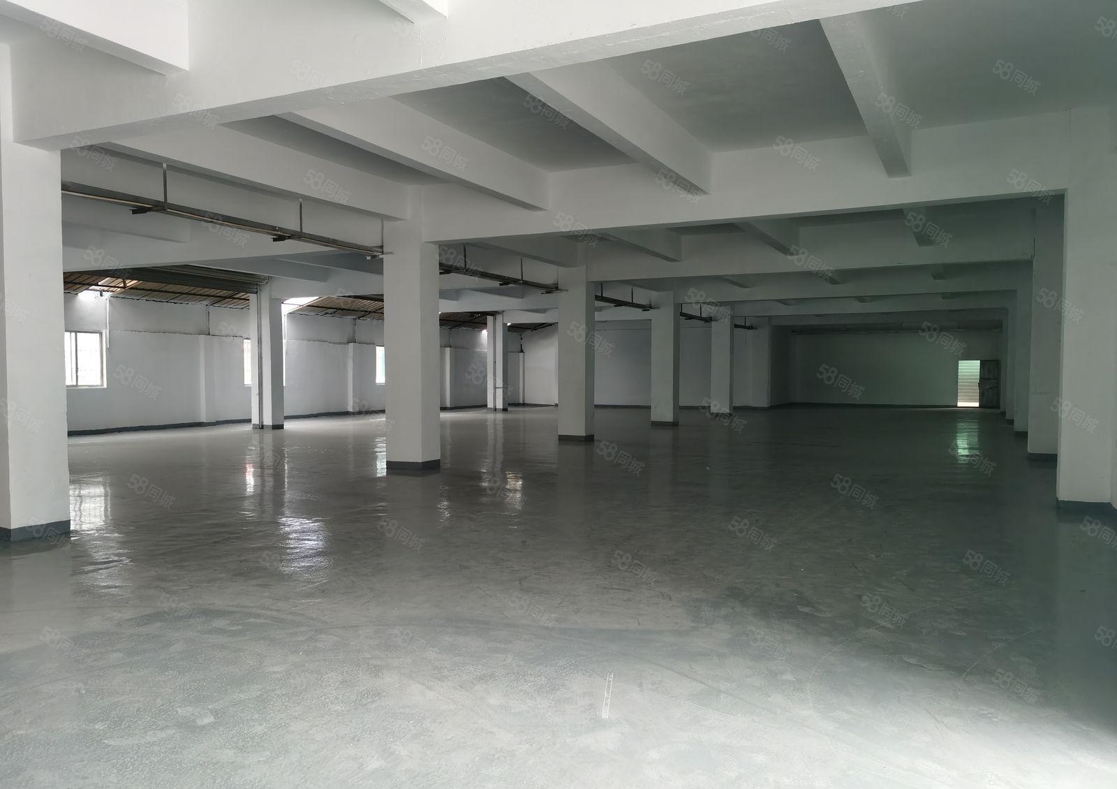 厚街园区独栋厂房出租