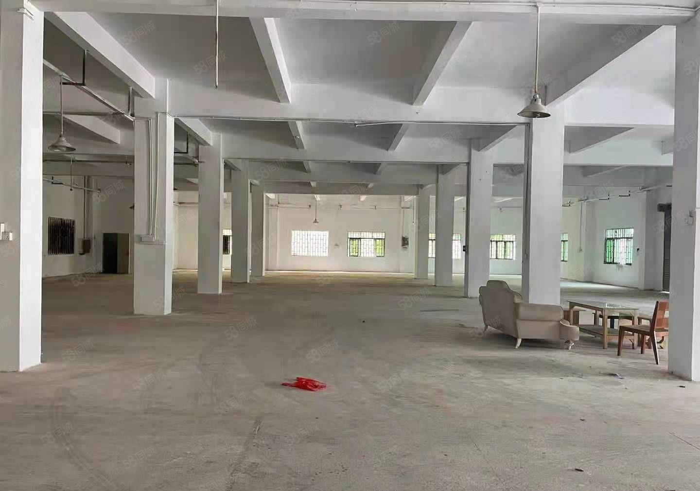 独门独院6000平方环评环保厂房