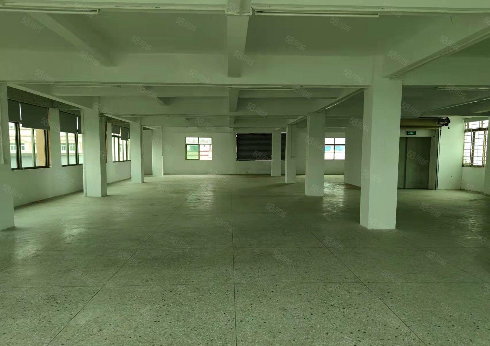 光彩超好，格局方正，交通方便