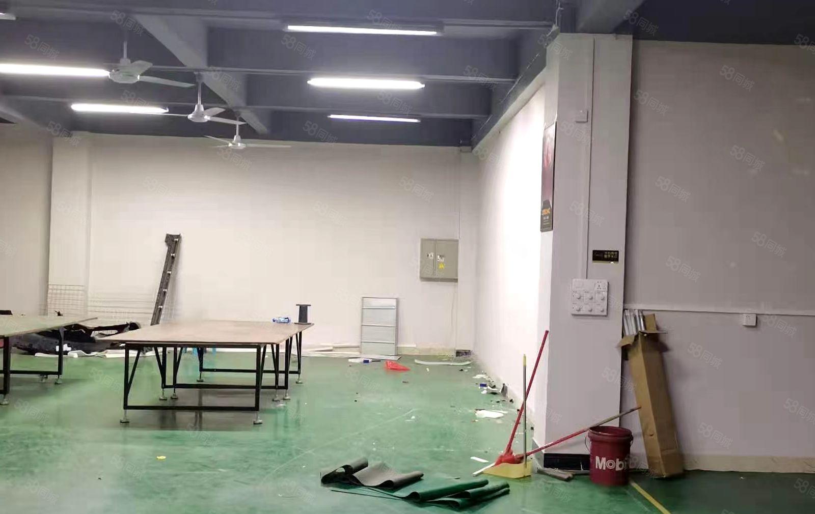 厚街新空出800平方一楼厂房出租仓库出租可办环评