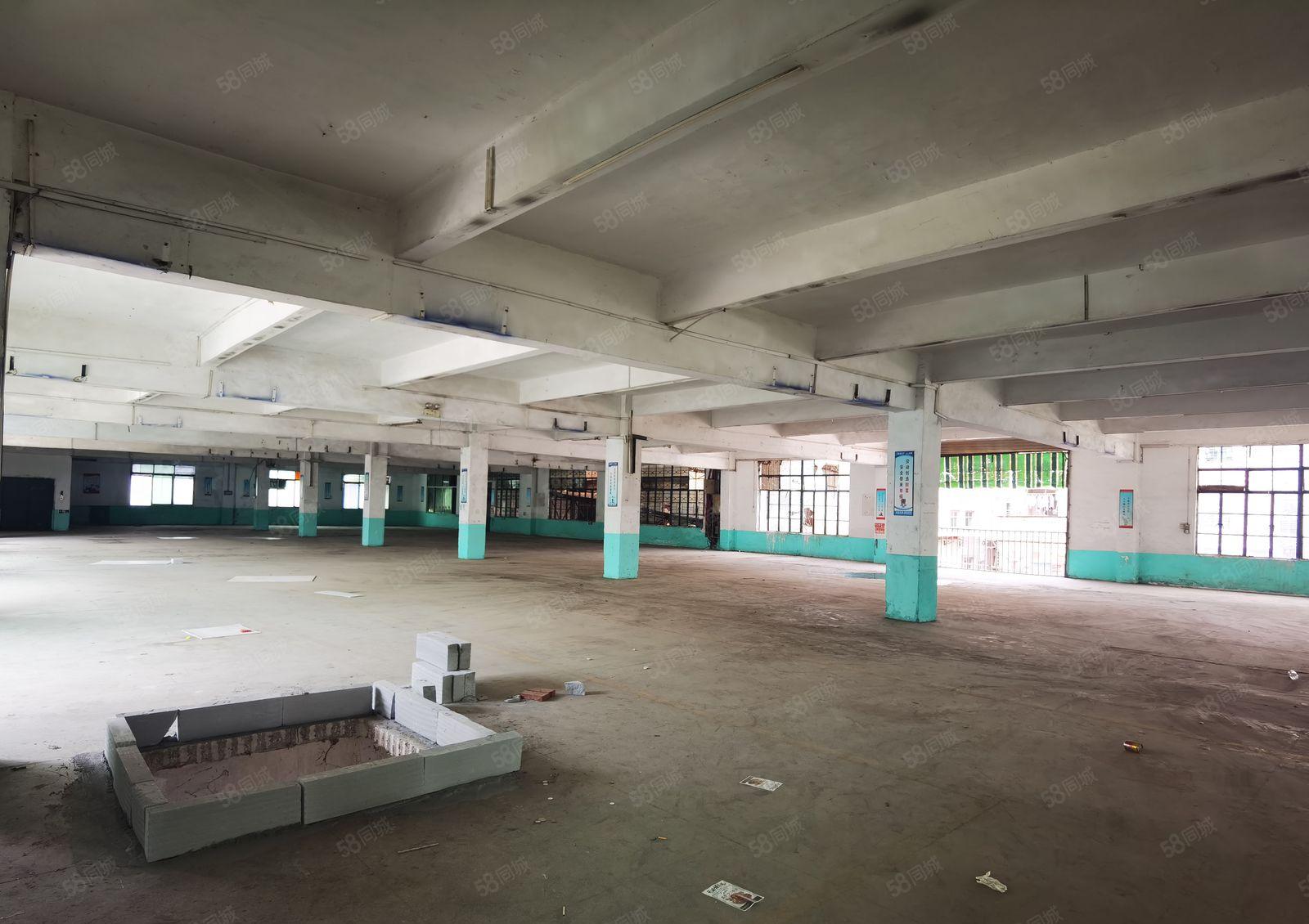 厚街涌口新出花园式厂房13500平方，可分租交通方便