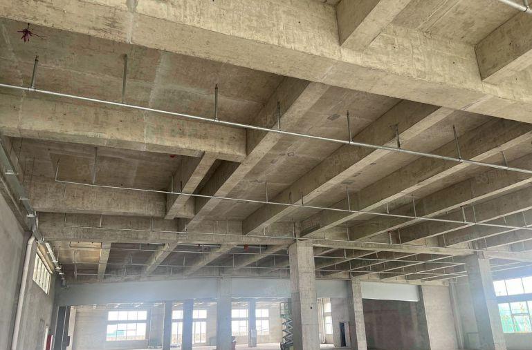 厚街全新厂房随时可看，14起租含税，高楼层楼层可选可办环评