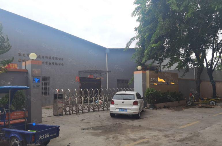 独门独院钢结构厂房5700平低价出租滴水9米形象好交通方便