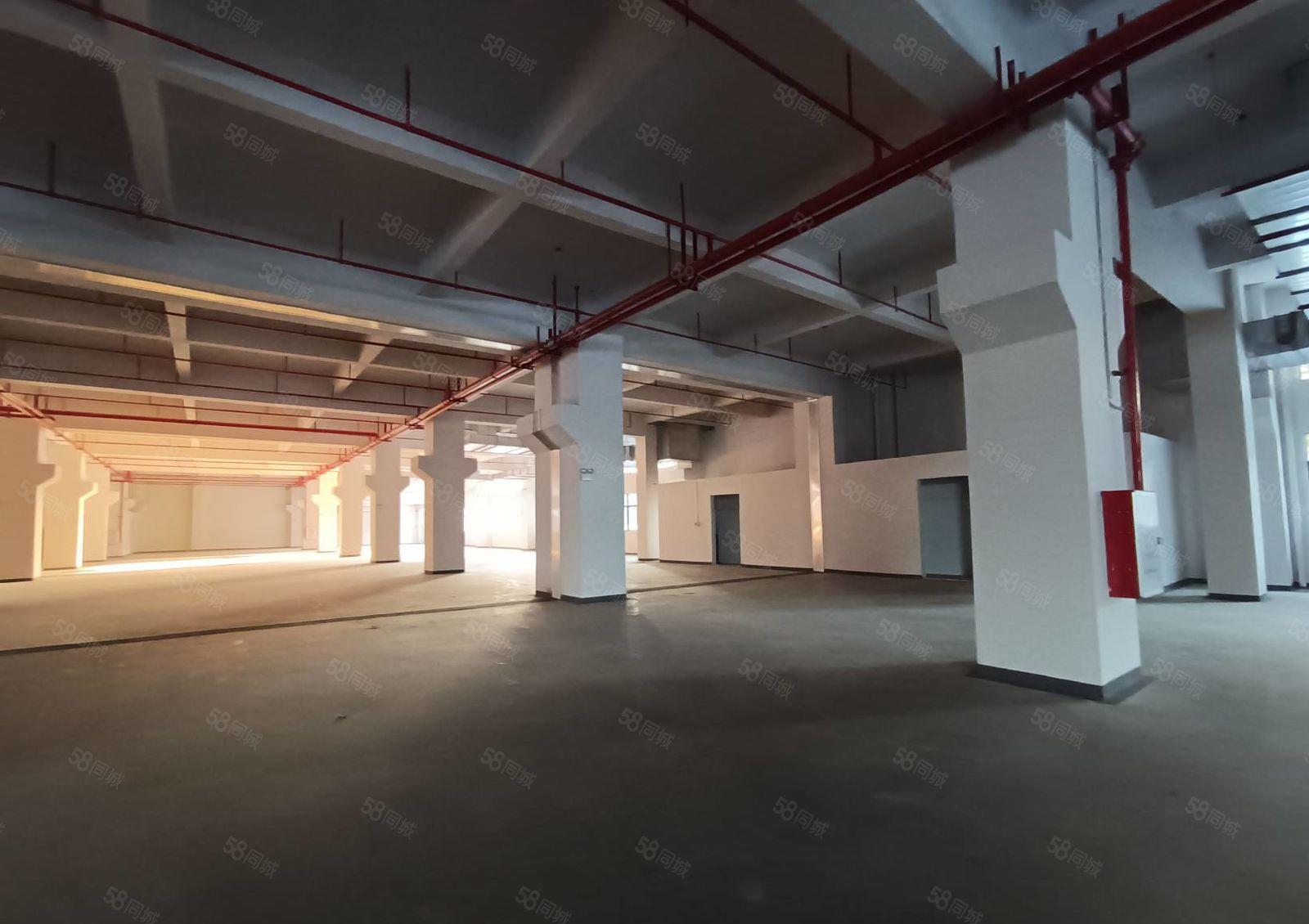 独门独院！东莞厚街镇全新标准厂房出租，有红本，可办环评可分租