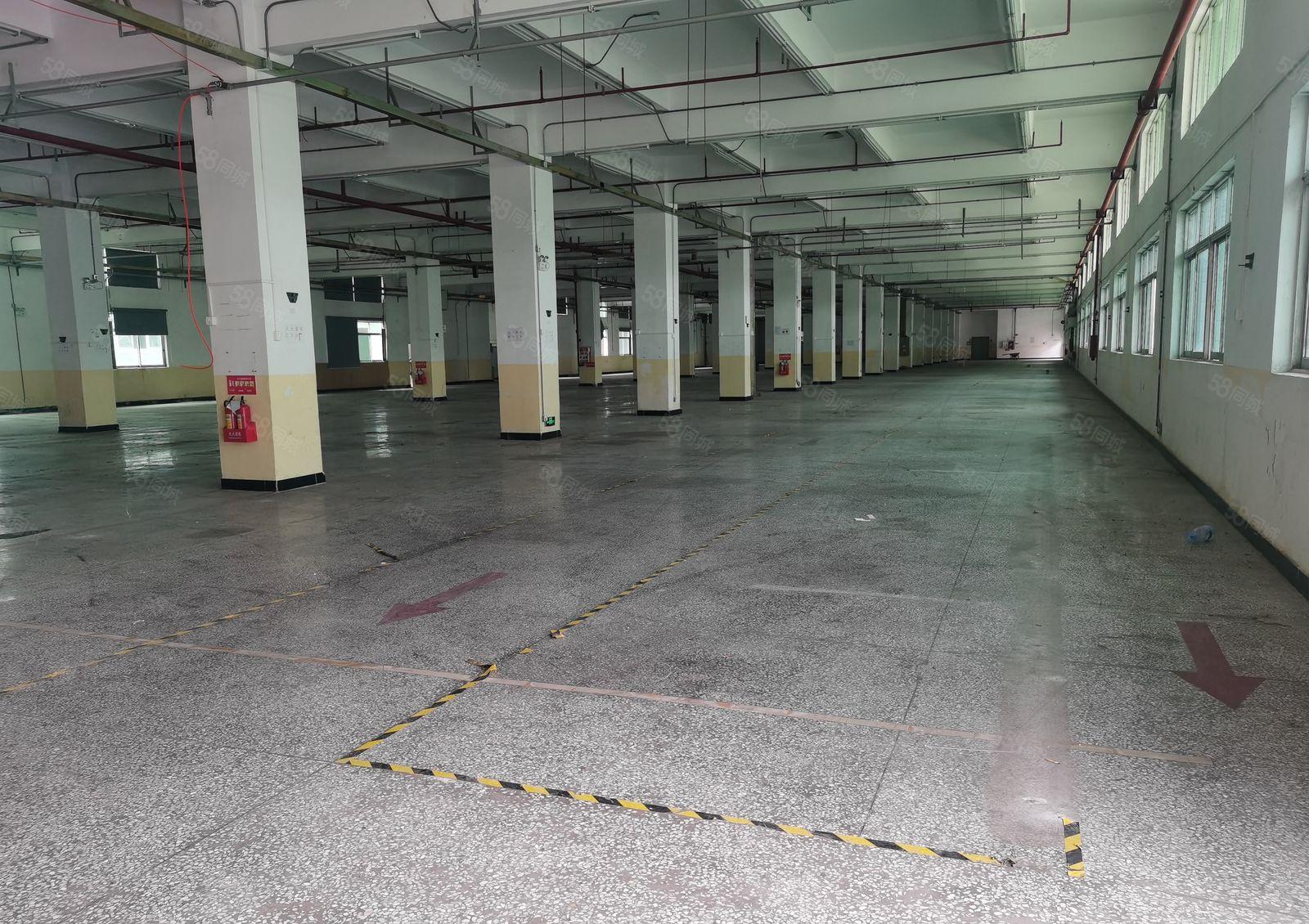 厚街新出9万平方空地大形象好 交通方便 易招工