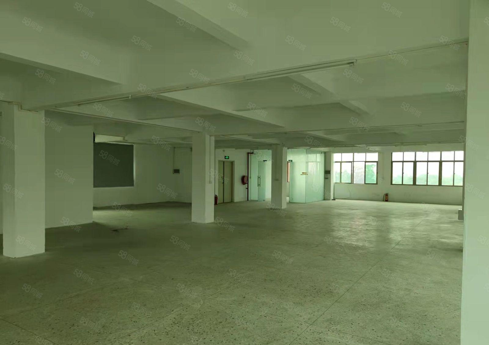 光彩超好，格局方正，交通方便