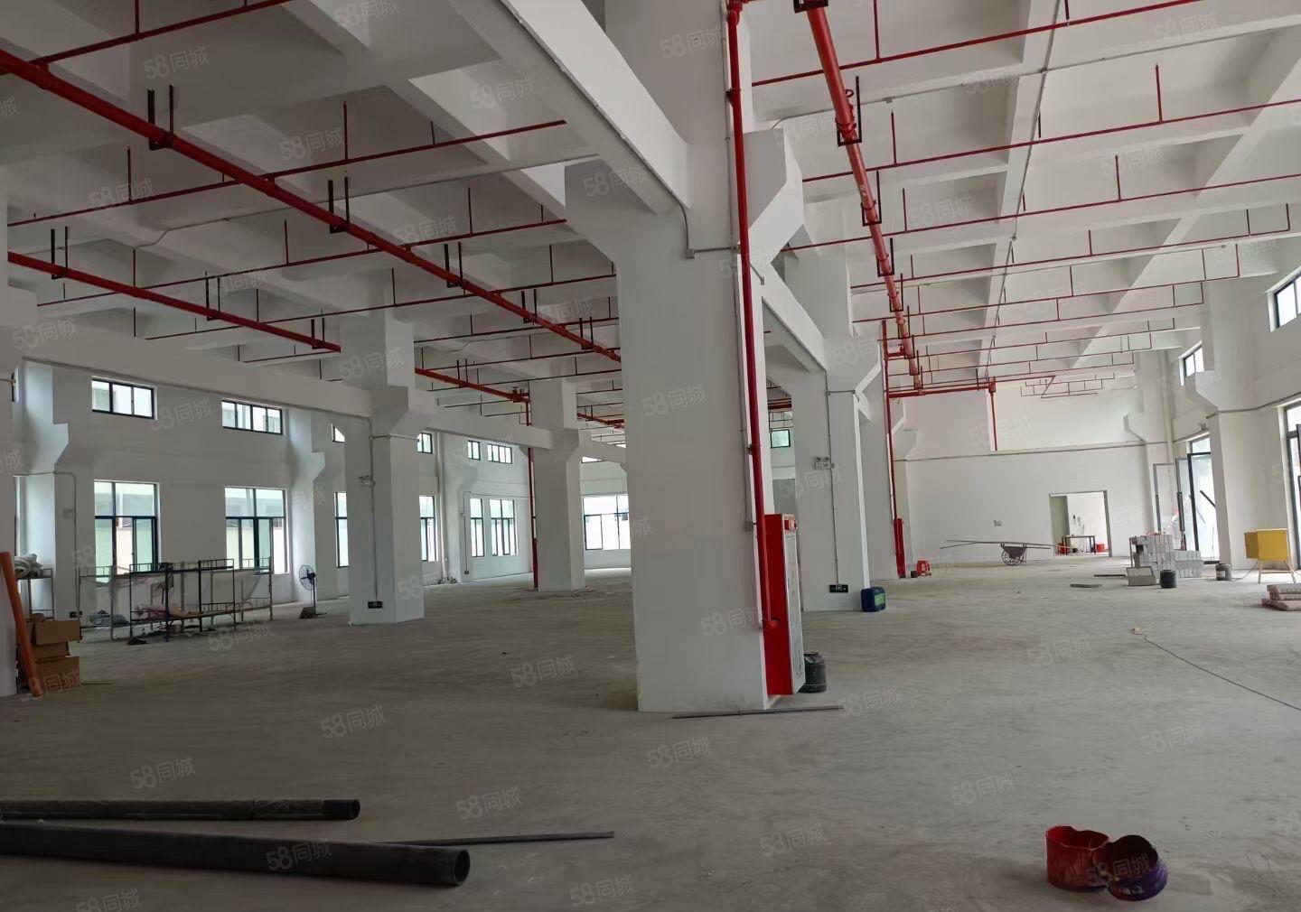 厚街新建厂房单层2800平方，一楼7米带牛角