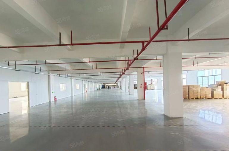 厚街陈屋原房东独院21300平带现成精装修独立变压器厂房出租