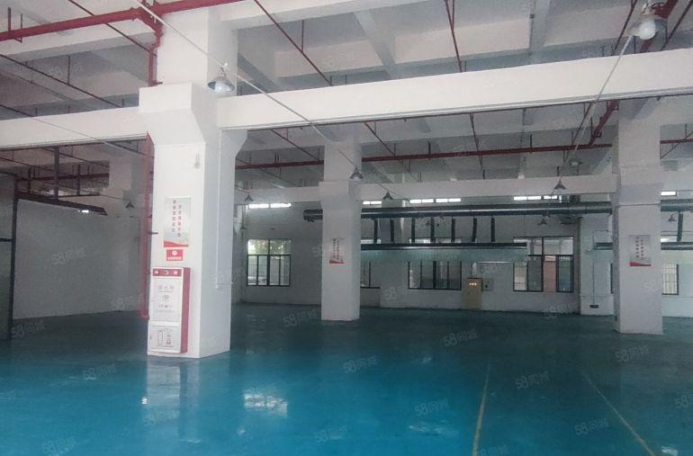 厚街镇厚街村全新花园厂房3200平一楼低价出租