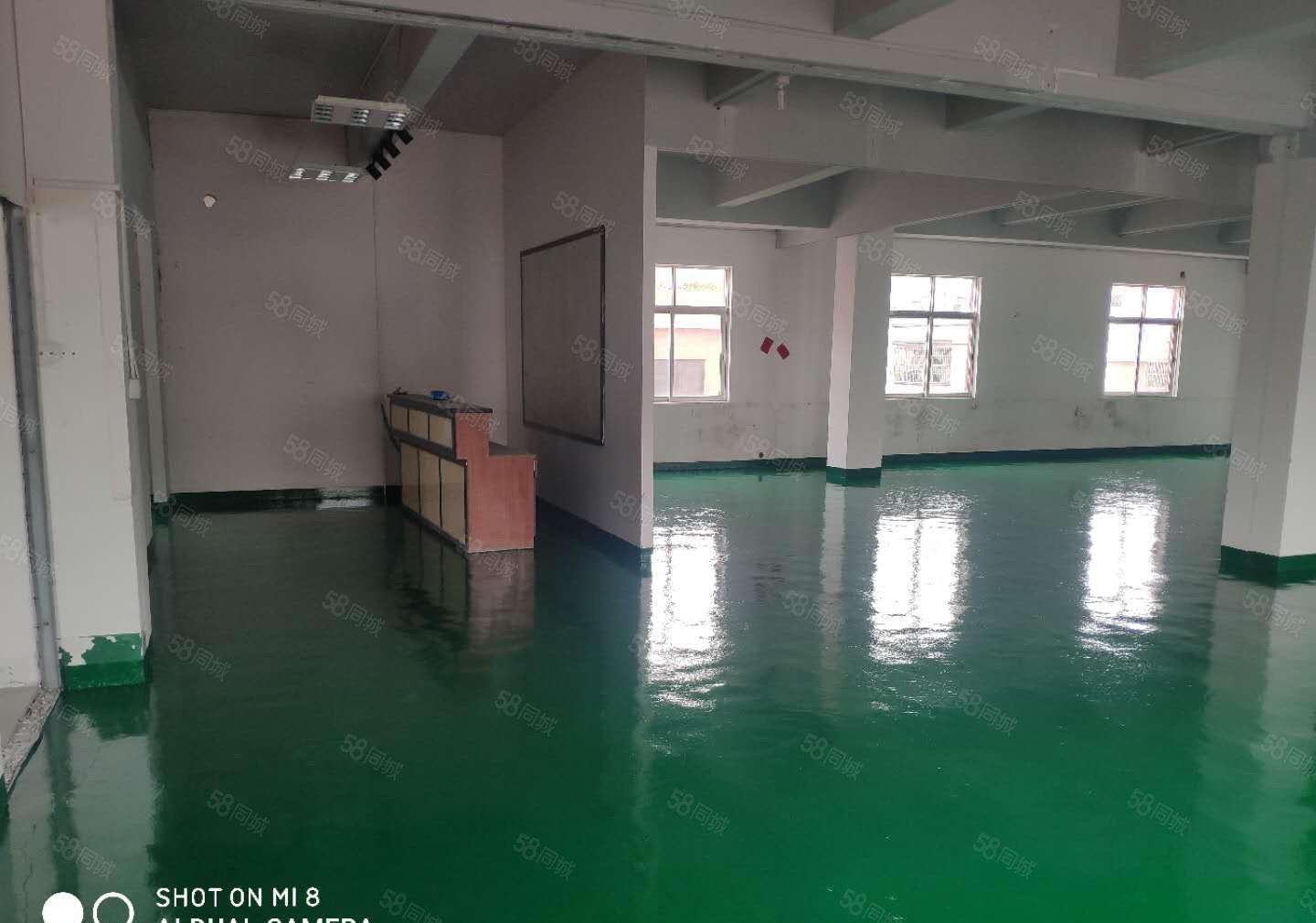 厚街新出原房东325平水电齐全精装修