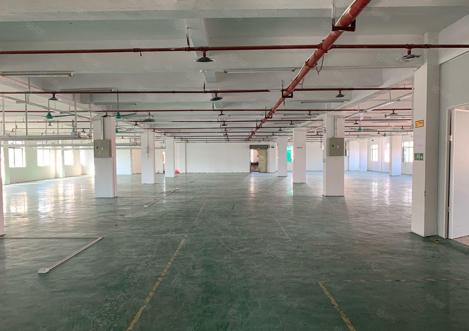 厚街原房东900平方实际面积厂房出租仓库出租水电办公室齐全