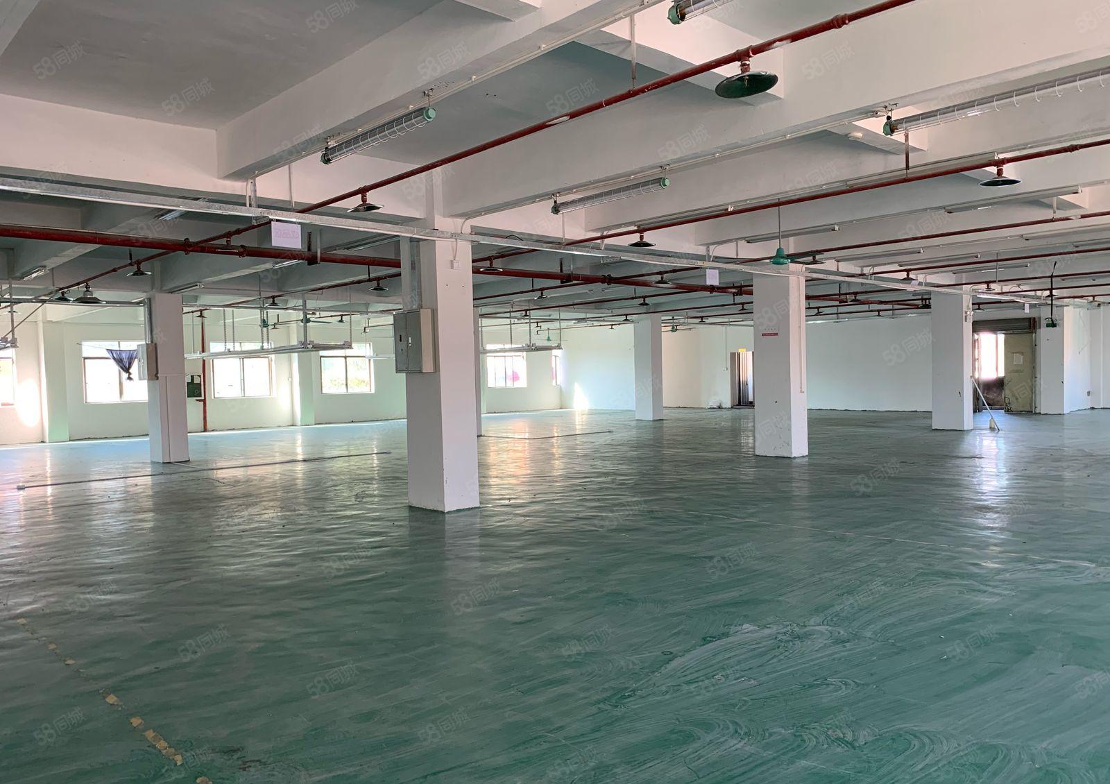 厚街原房东900平方实际面积厂房出租仓库出租水电办公室齐全