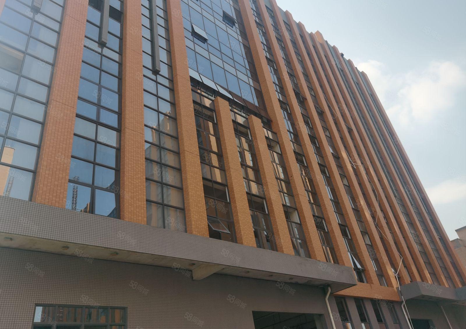 花园式厂房出租28000平 空地大 可分租