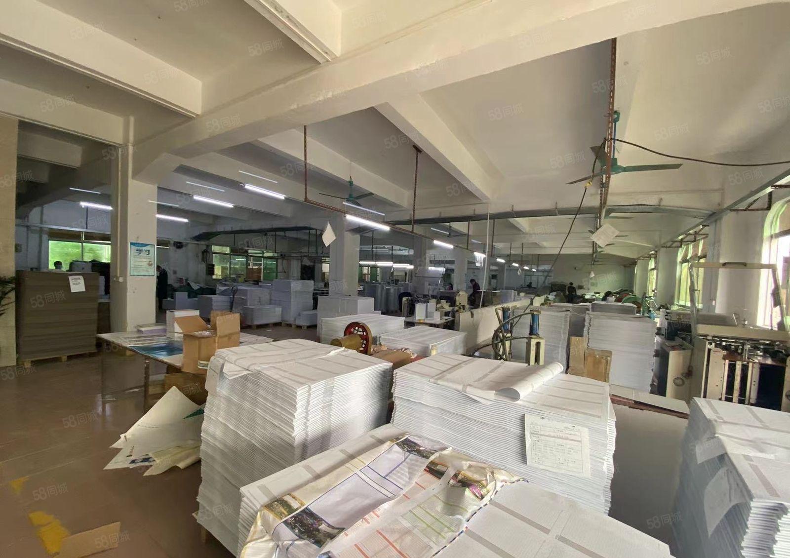 厚街4000房独门独院厂房 超大空地 价格美丽