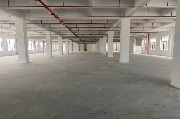 厚街镇3000平高新产业园红本厂房原房东易招工形象好空地大