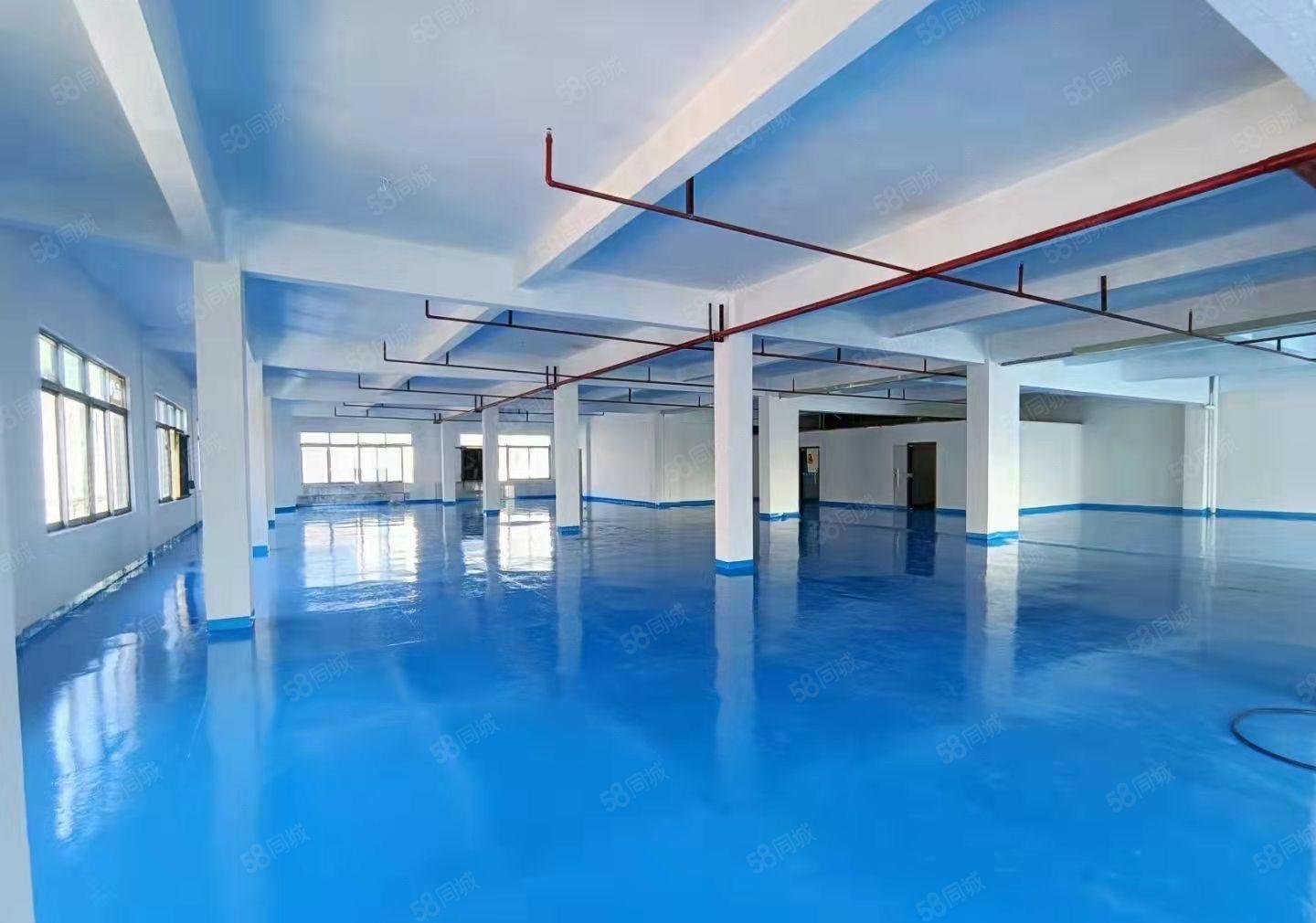 厚街桥头全新内墙地坪漆500平