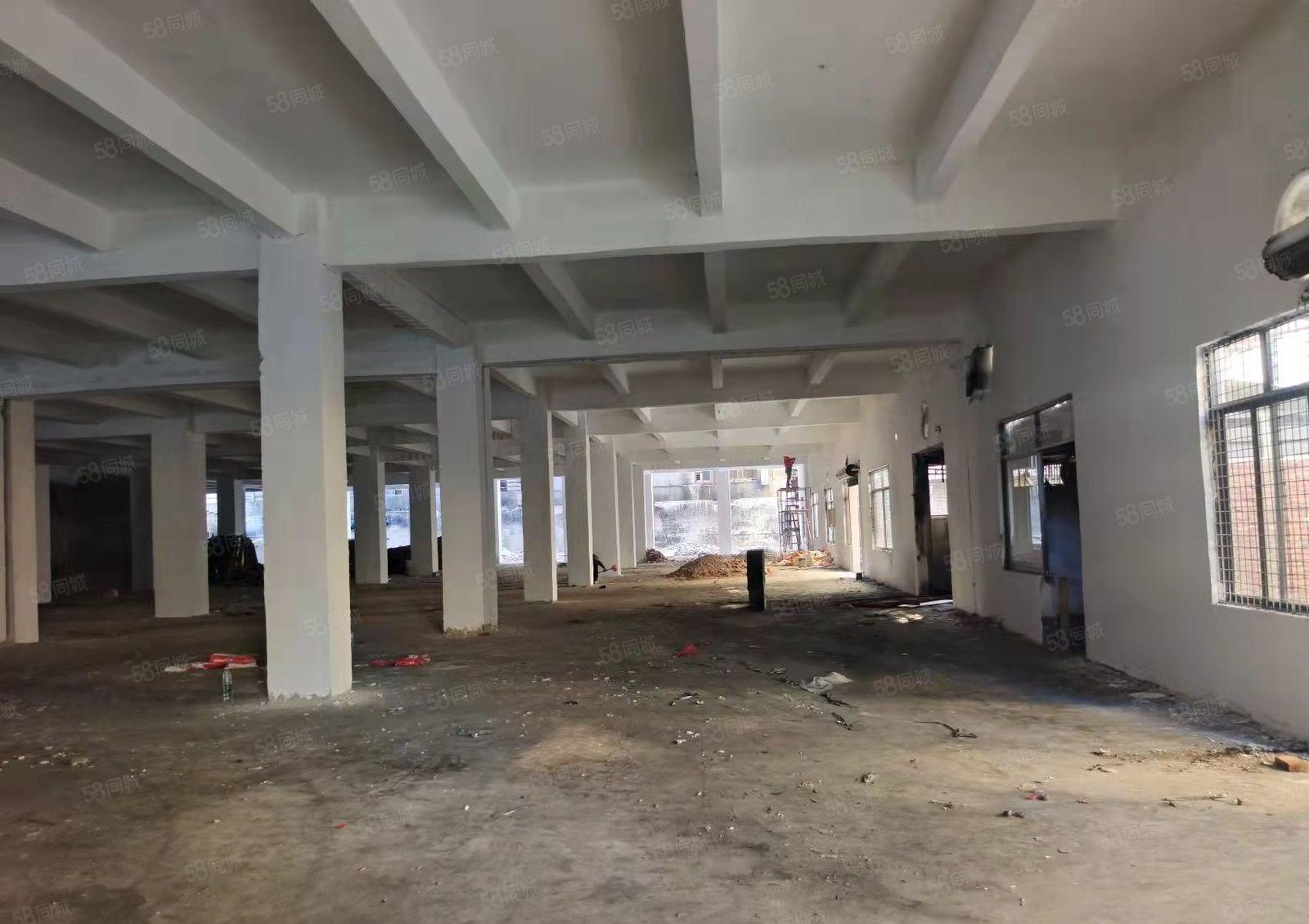 厚街三屯伦品涌大道空出一楼准备厂房2688平方水电齐全