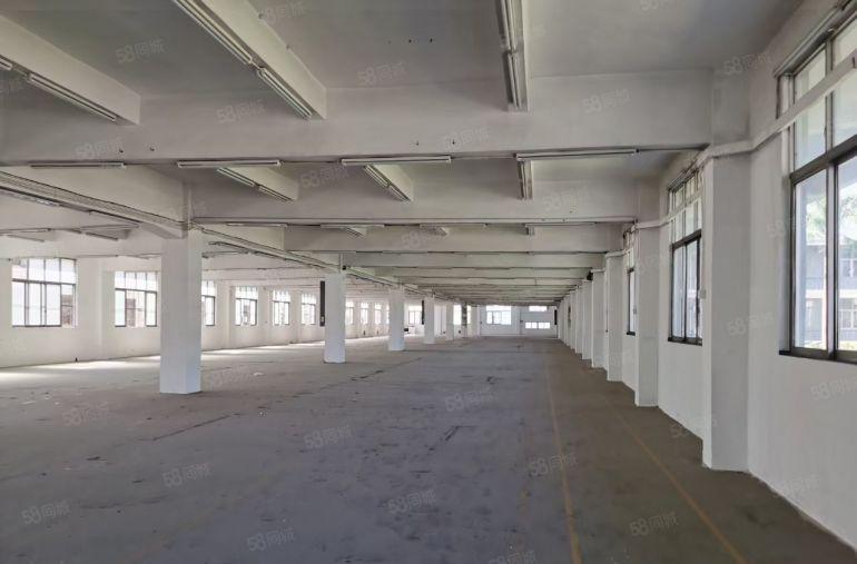 （原房东独院4000平）6米高空地大形象好水电费自己交