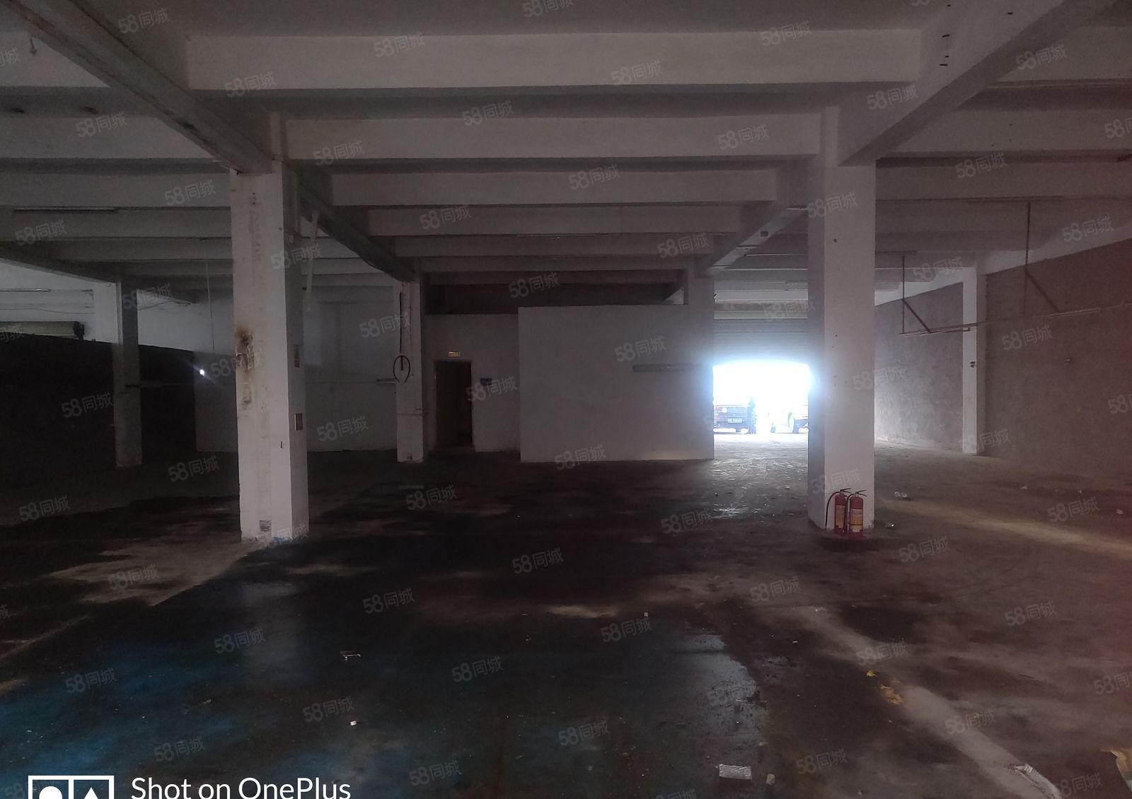 厚街新出标准厂房650平，园区大好停车，价格便宜适合各行各业