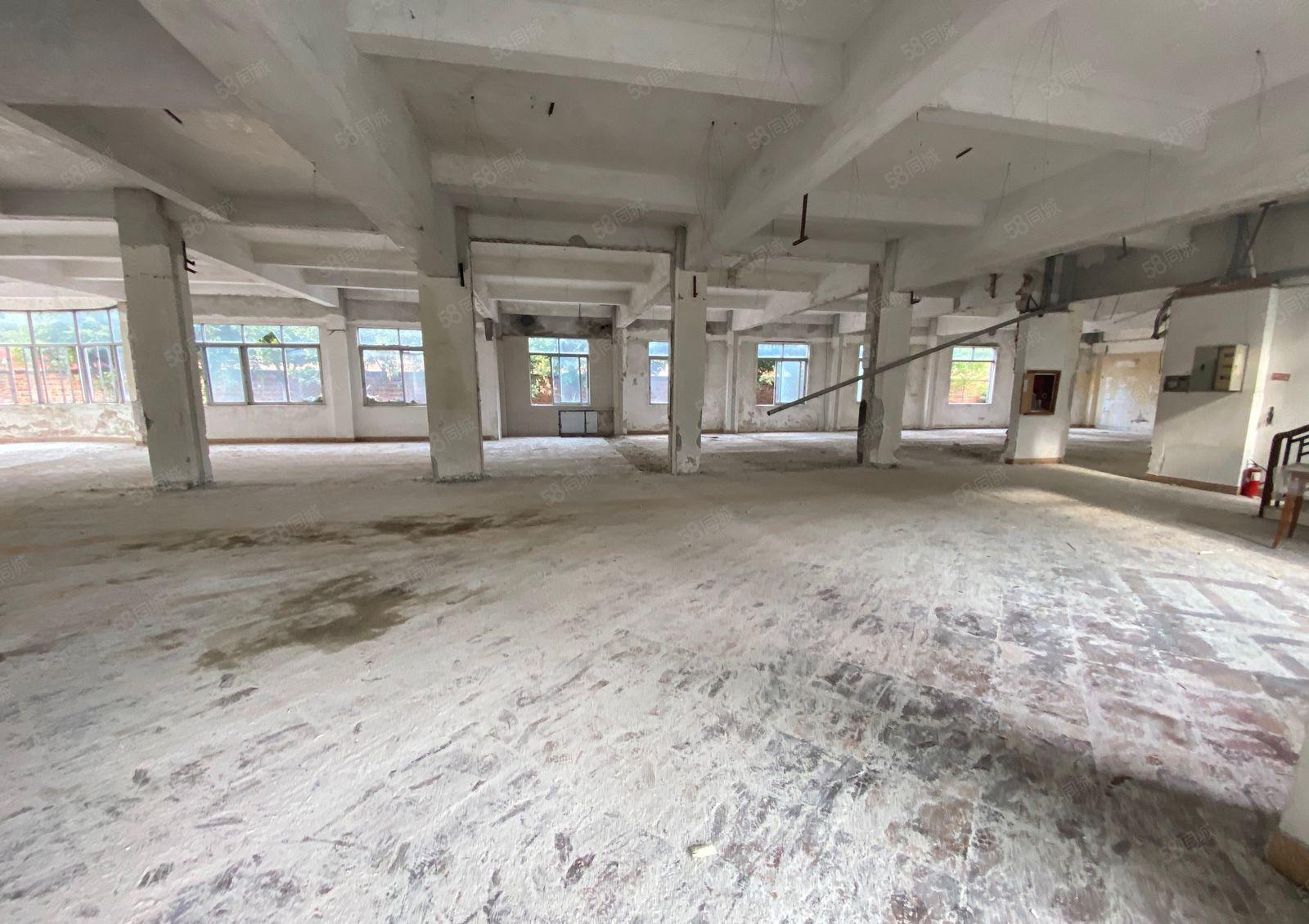 厚街独门独院13000房原房东厂房超大空地