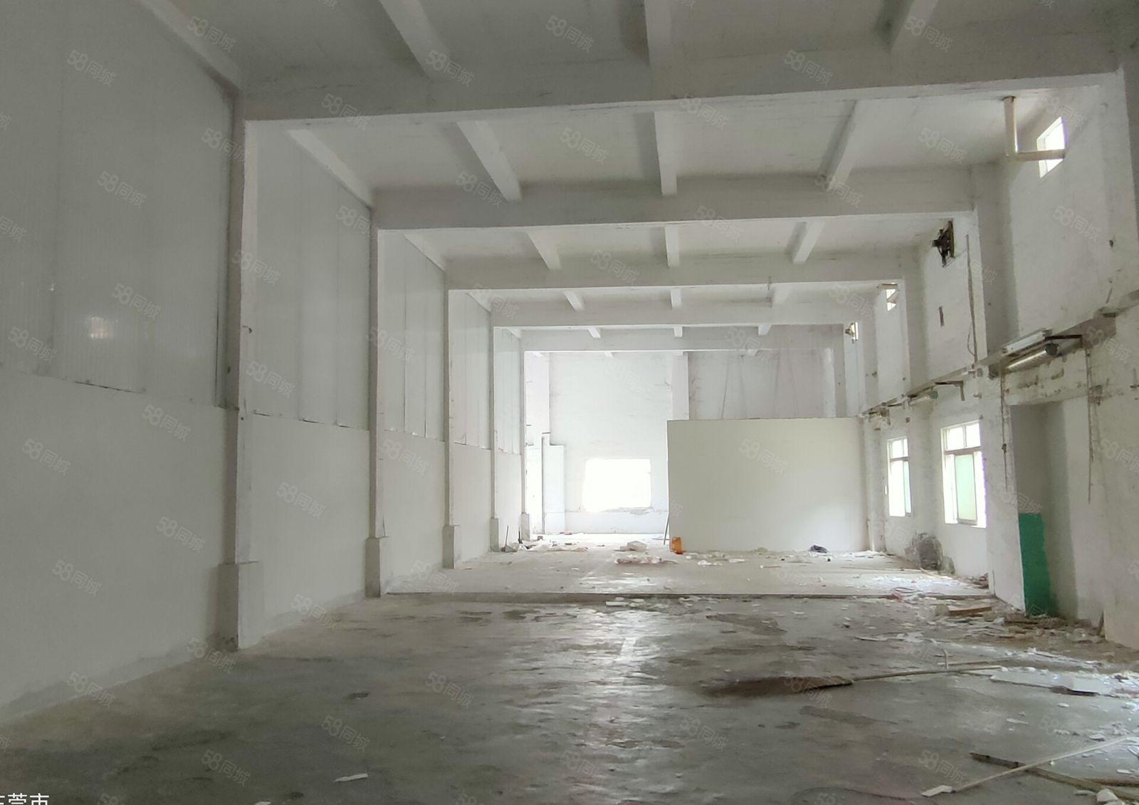 厚街双岗超高单一层混凝土结构厂房1100平价格便宜，交通方便