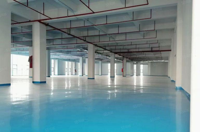 厚街全新厂房低价9.9块超长免租期现成地坪漆300平方起租