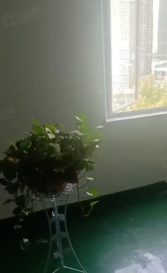 沙塘新出独院带豪华装修办公室厂房900平厂房出租仓库出租