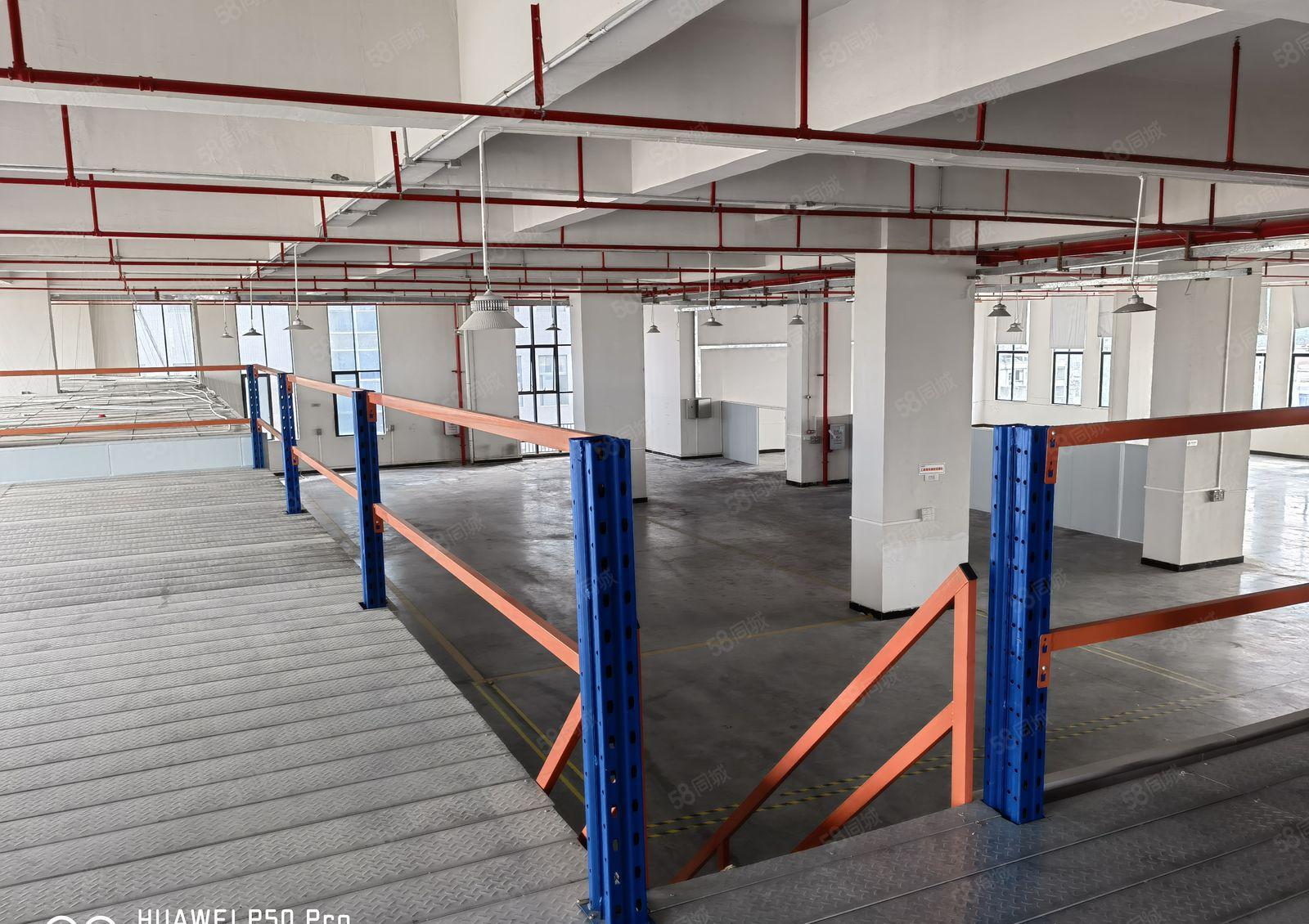 全新红本园区6楼1910平方现成装修阁楼地坪漆 面积利用率高