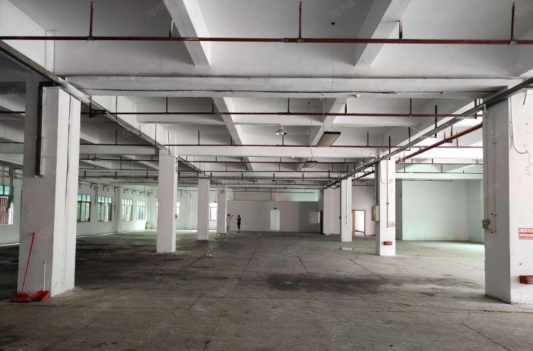 厚街一楼1560平厂房 形象好 空地大 适合鞋材 模具 五金