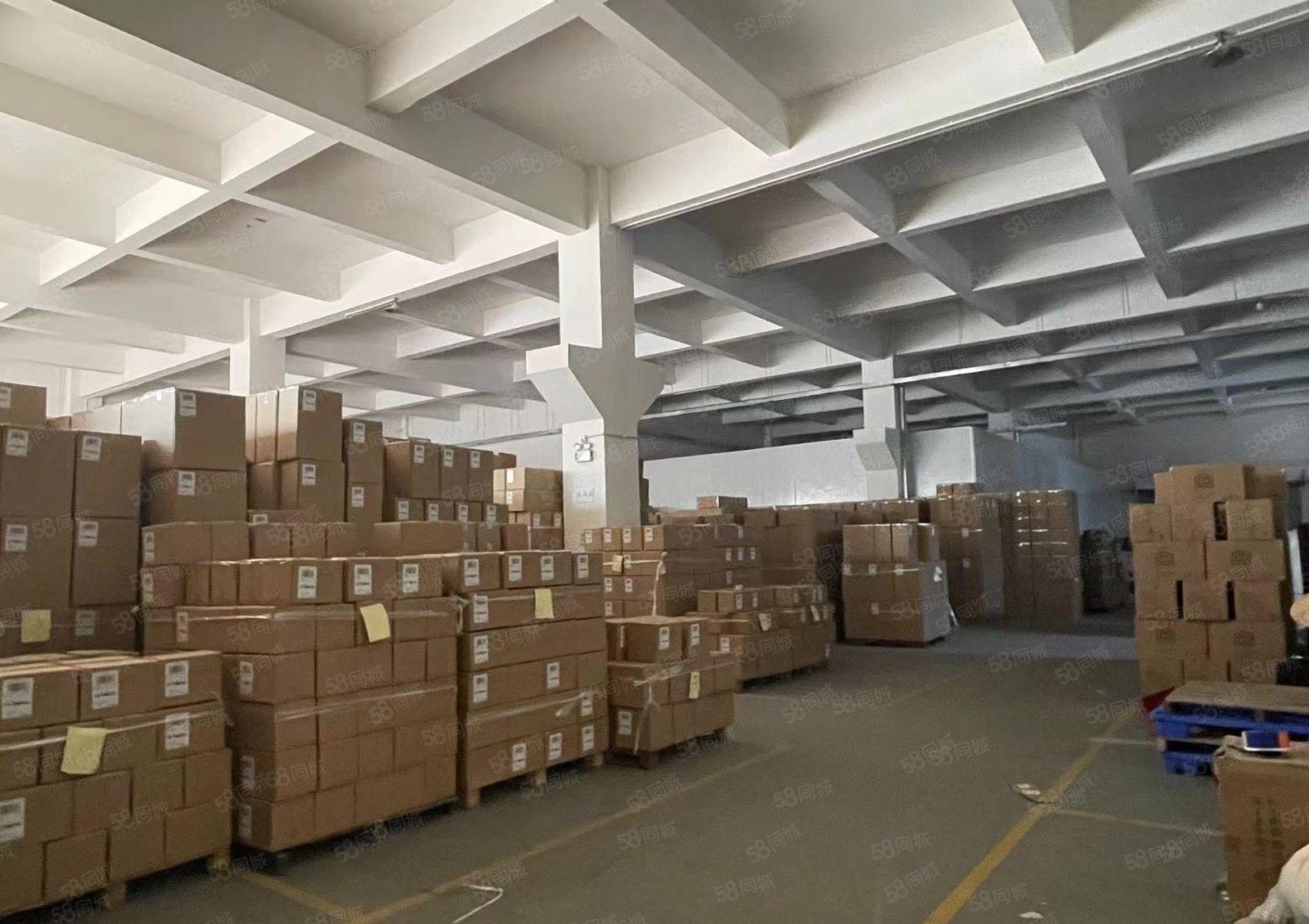 厚街汀山一手房东一楼1500平方高7米带牛角厂房出租超大空地