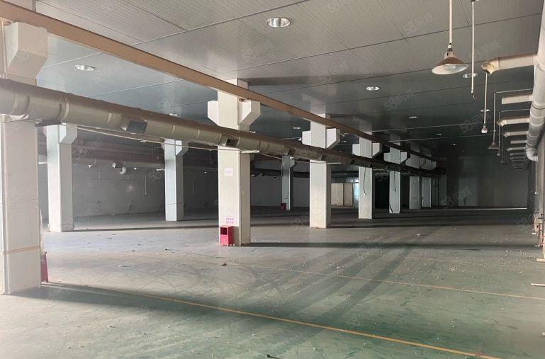 厚街新出原房东独院一楼高度六米带牛角位独栋办公室周边没有居民