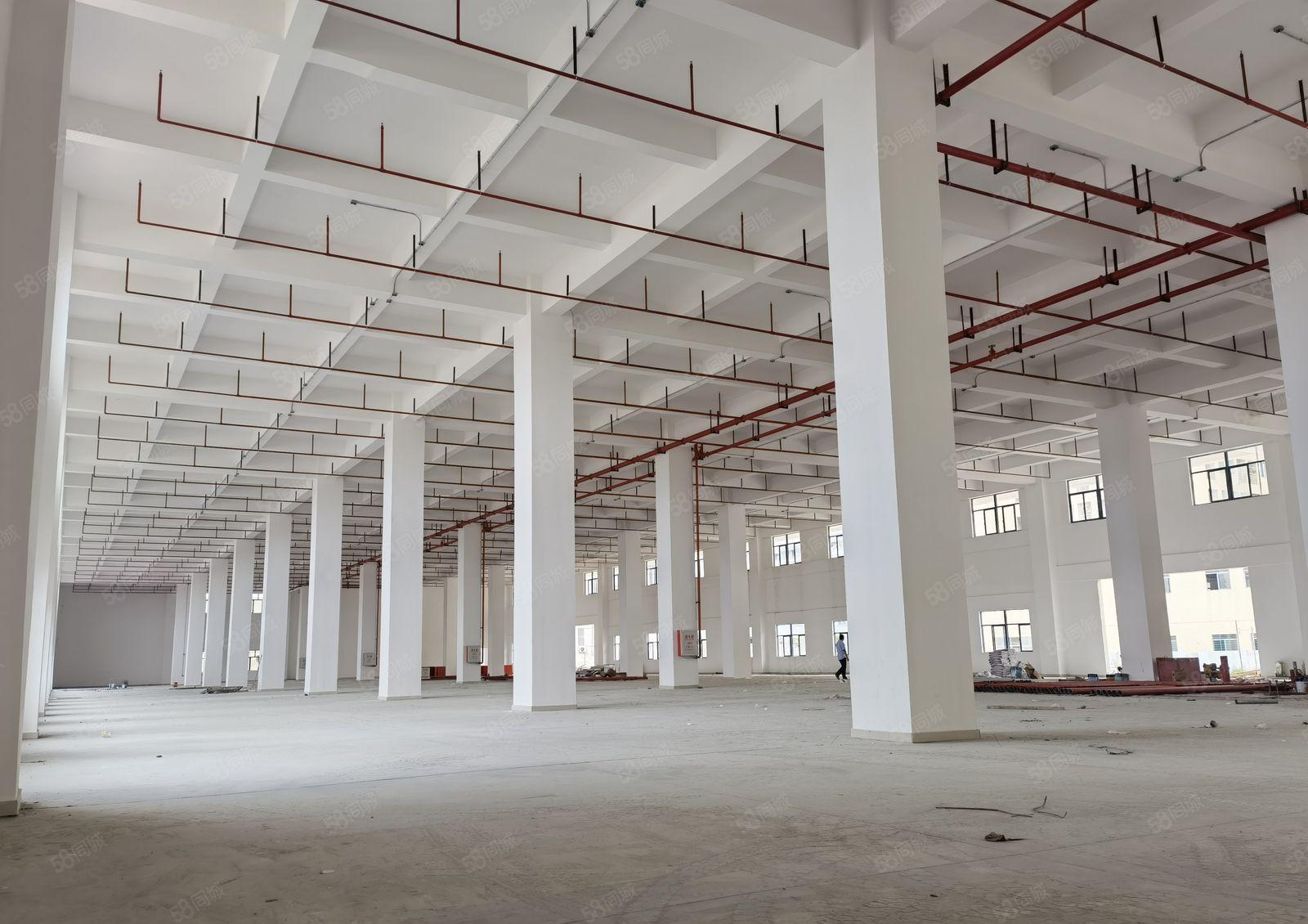 9米高全新红本独院厂房仓库四层14000方