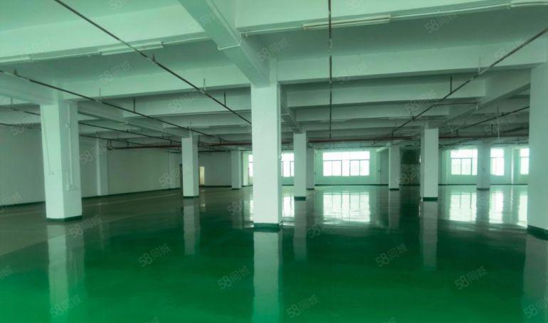 厚街厂房出租全新地坪漆1750平米适合电子，五金，包装